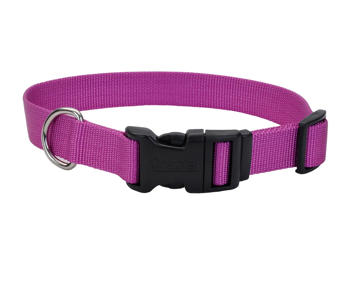 Coastal Adjustable Dog Collar with Plastic Buckle
