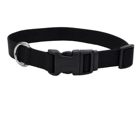 Coastal Adjustable Dog Collar with Plastic Buckle