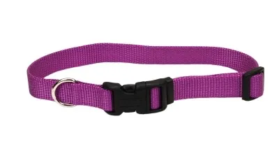 Coastal Adjustable Dog Collar with Plastic Buckle