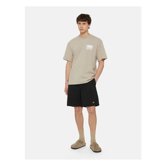 Dickies Fincastle Shorts Black