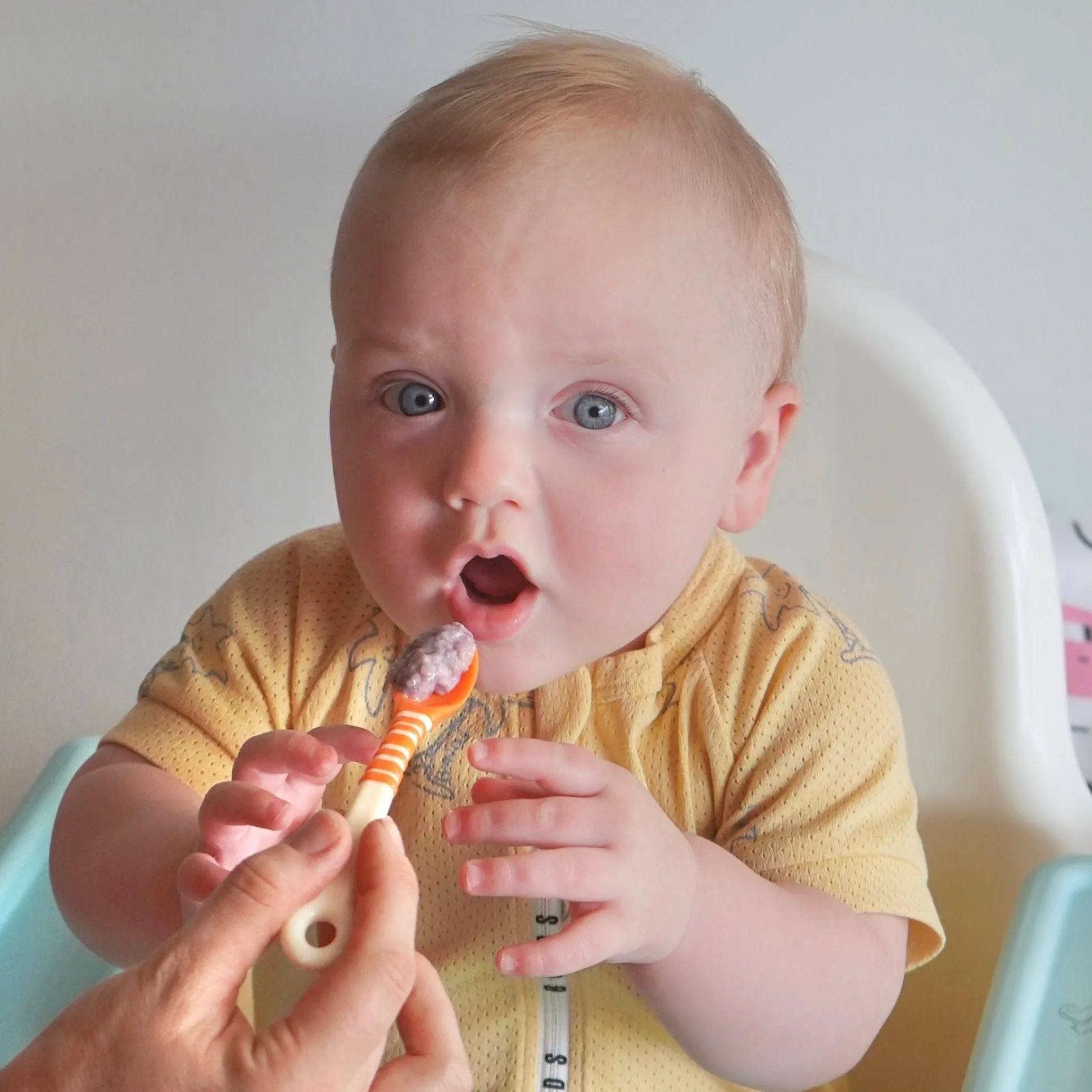 First Feeding Spoons - your weaning companion