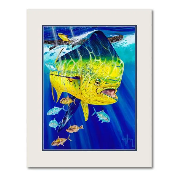 GOLDEN PRIZE 14X11 MINI UF