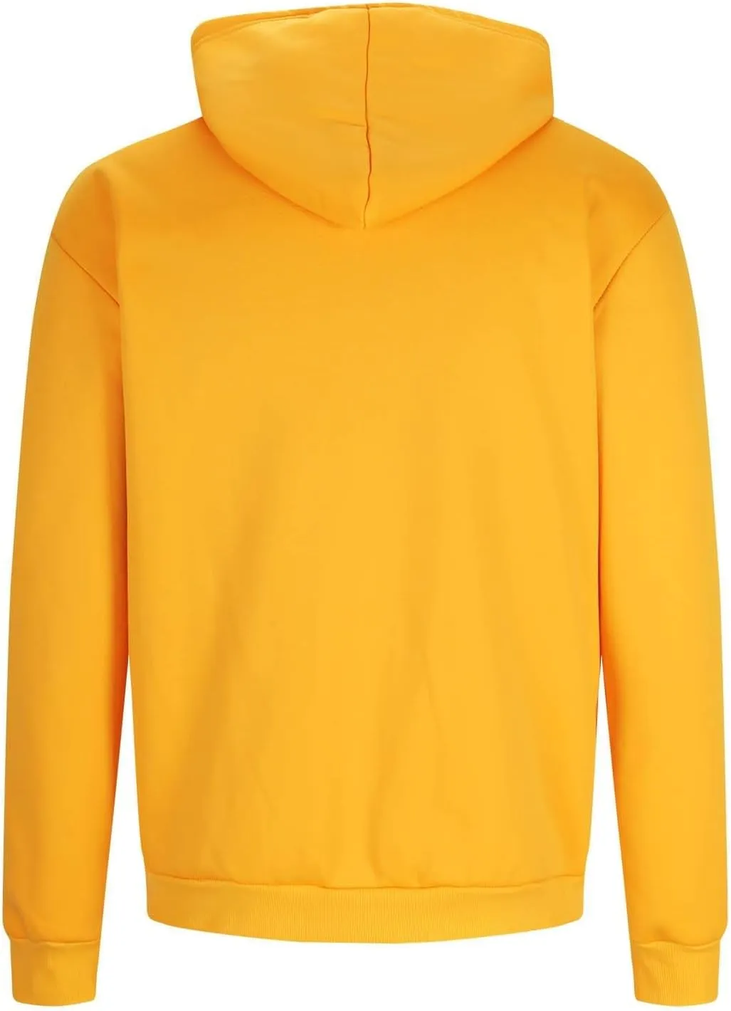 Hoodies for Men 2024 Heavyweight Fleece Sherpa Lined Hooded Sweatshirt Casual Thick Pullover Tops Winter Outfits