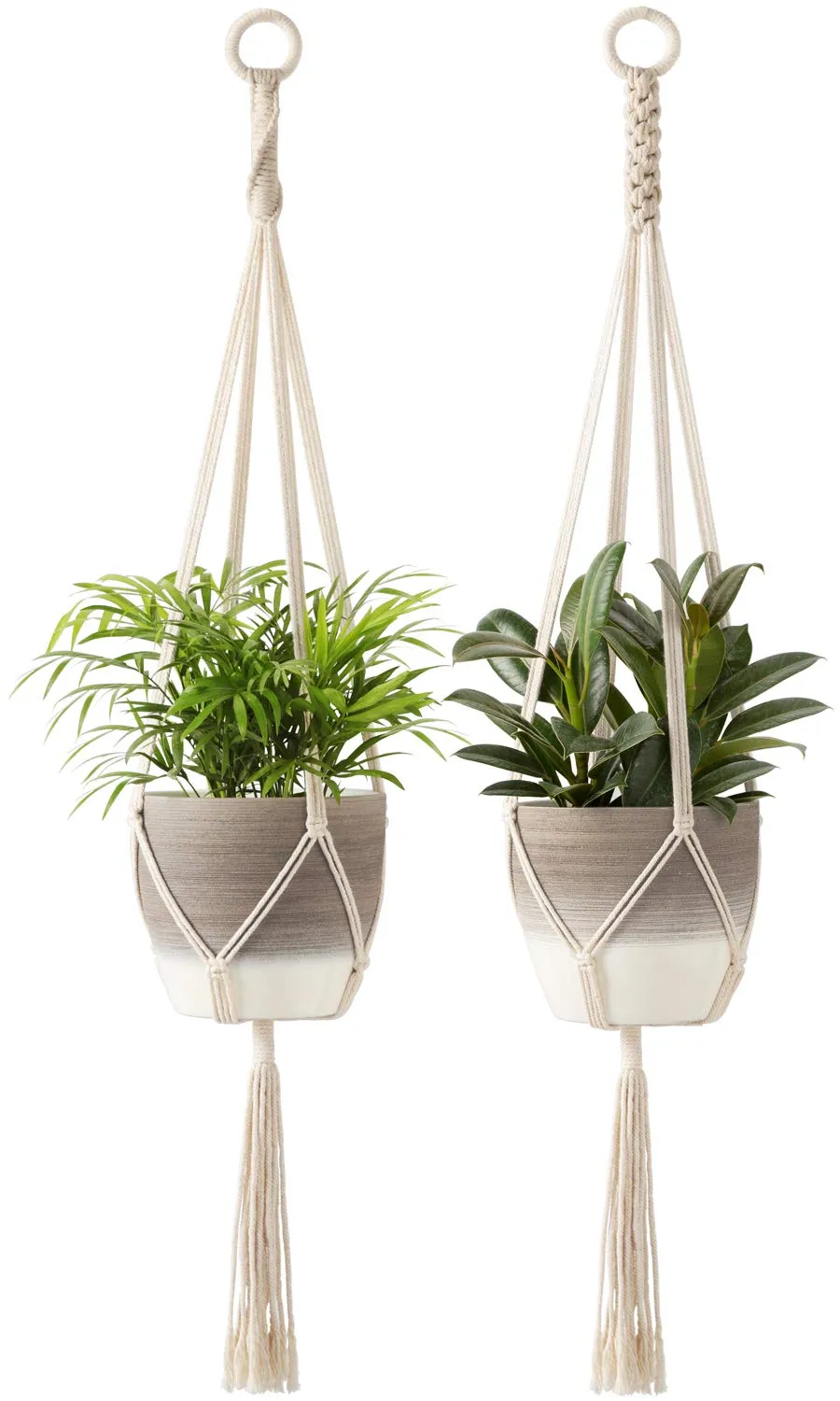 Macrame Cotton Plant Hanger (Set of 2)