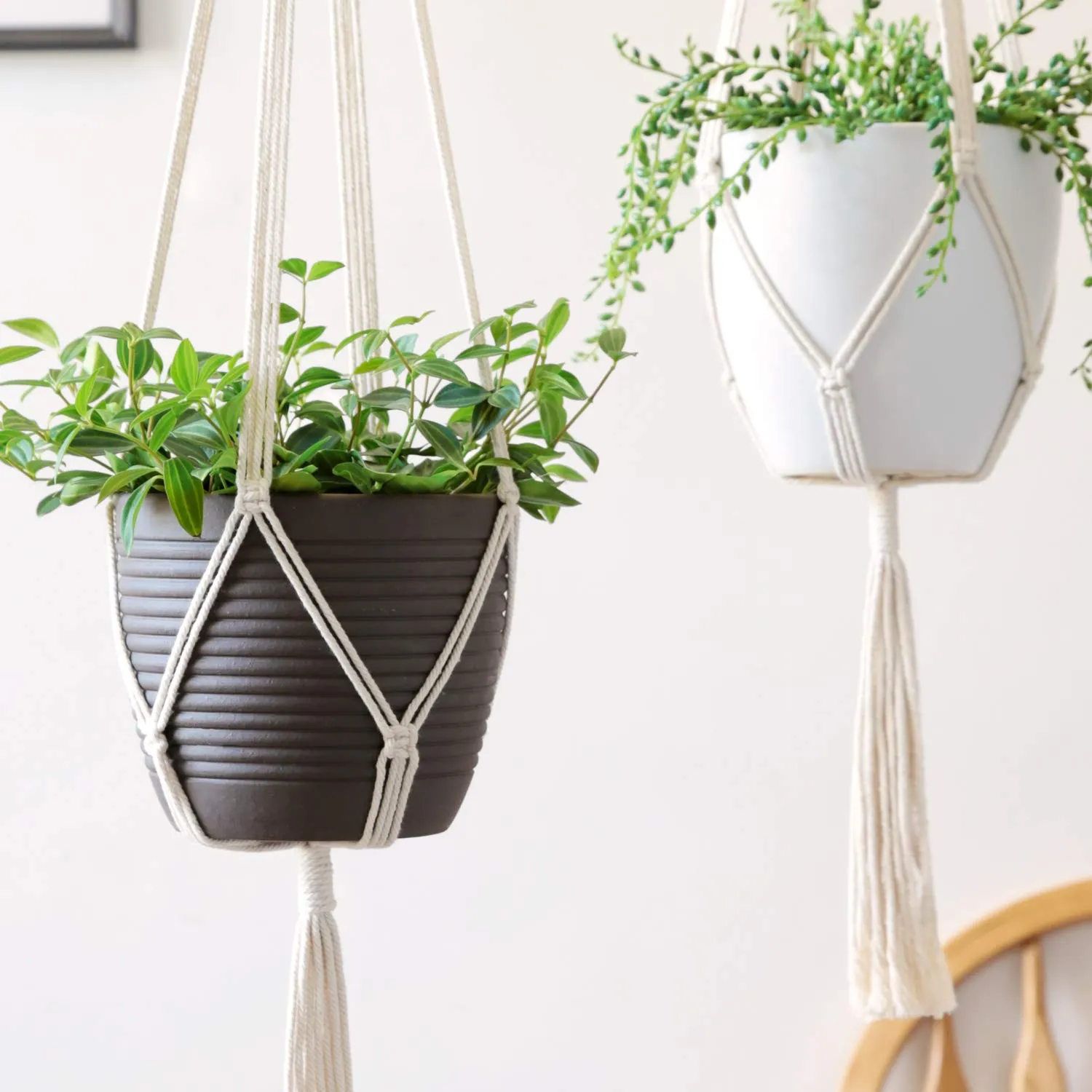 Macrame Cotton Plant Hanger (Set of 2)