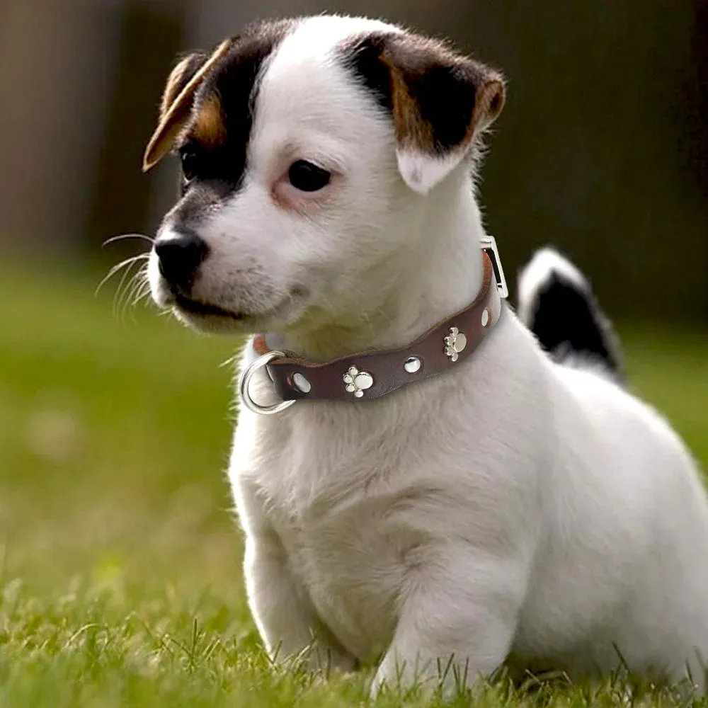 Premium Genuine Leather Dog Collar - Adjustable and Soft for Comfort
