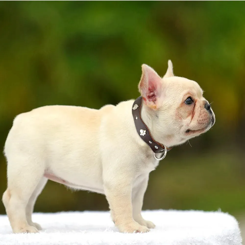 Premium Genuine Leather Dog Collar - Adjustable and Soft for Comfort